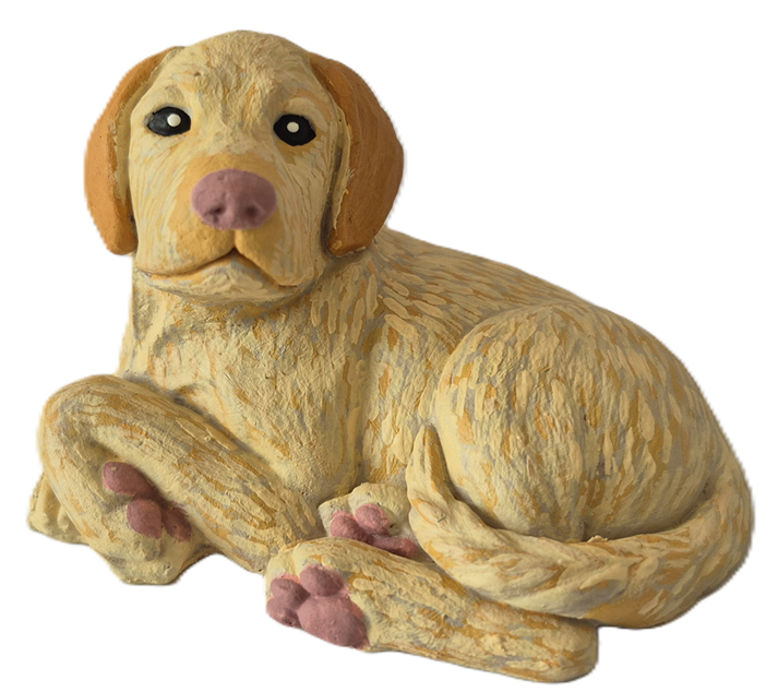 PetPop de Max - Perro Labrador